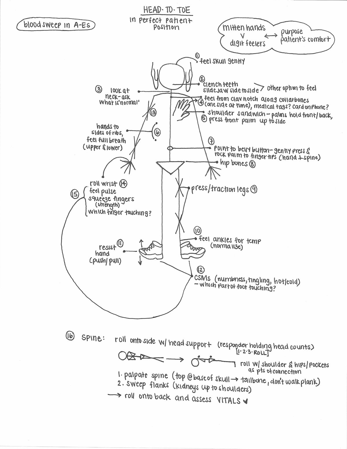 Patient Assessment: Visualizing the Head-to-Toe Exam